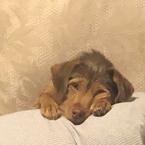 Meet your Posher, Sherese